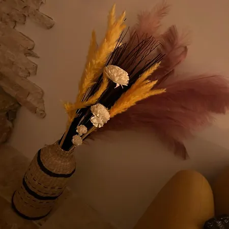 Apartament I Pozzi Jacuzzi Haute Corse Furiani