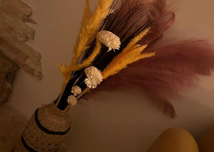 Апартаменты I Pozzi Jacuzzi Haute Corse Фуриани